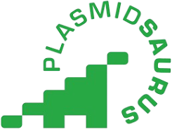 plasmidsaurus